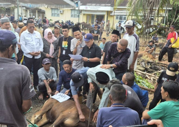 Wako Prabumulih Hadiri Pemotongan Hewan Kurban di RSUD, 15 Ekor Hewan Disembelih untuk Masyarakat
