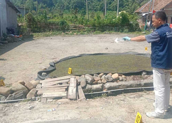 Polda Sumsel Tegaskan Kejar Pelaku Penusukan Plt Kepala KUA Pulau Beringin hingga Tertangkap