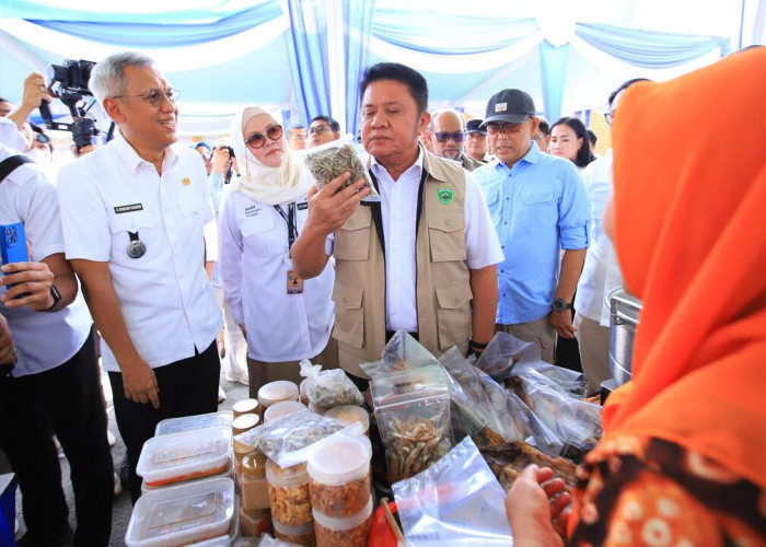 Gubernur Herman Deru Pastikan Stok Beras Sumsel Aman hingga 10 Bulan kedepan, Masyarakat Diminta Tak Khawatir