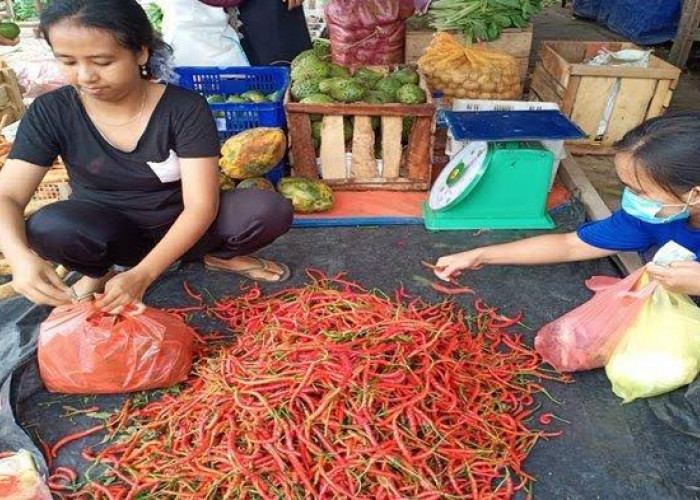 Harga Cabai Merah di Baturaja Tembus Rp85.000 Per Kilogram