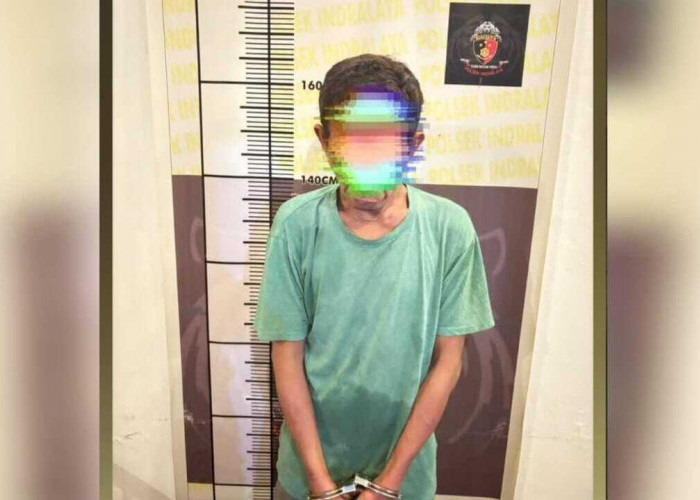 Motif Ekonomi, Pria di OI Curi 4 Ekor Kambing, Kini di Tangkap Polisi