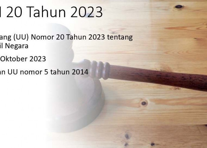 UU ASN Nomor 20 Tahun 2023: PPPK Berhak Pensiun, Komisi ASN Dihapus, dan Honorer Dihapus Desember 2024