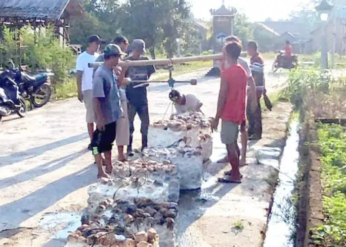 Petani Karet di OKU Sumringah, Harga Karet Kini Tembus Rp14.300 Perkg