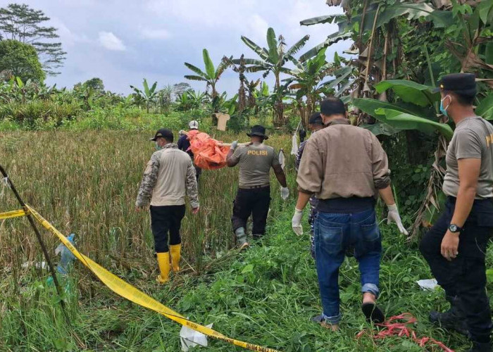 Mayat Perempuan Tanpa Identitas Ditemukan di Pinggir Sawah Desa Merah Mata Banyuasin