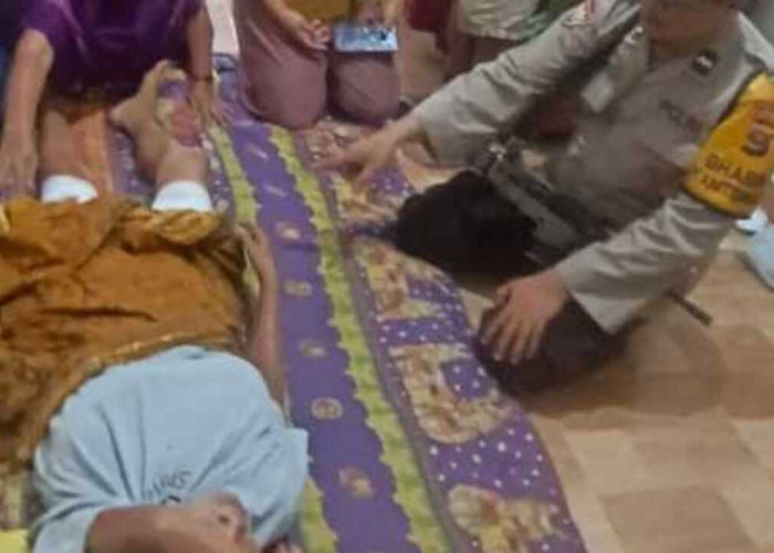 Seorang Warga Kabupaten OKU Diserang Beruang di Kebun Karet