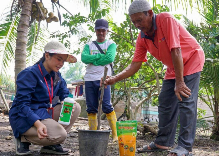 Dorong Produktivitas Pertanian, Pusri Tingkatkan Edukasi Pemupukan Berimbang