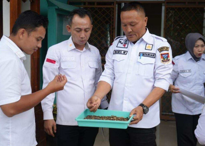 Kemenkum Sumsel Kunjungi Dinas Pertanian Kota Pagaralam, Bahas Percepatan Pendaftaran Indikasi Geografis Kopi 