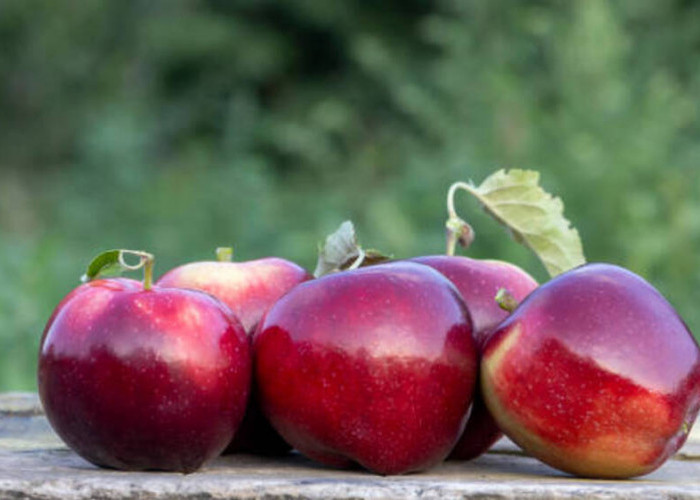 Apel sebagai Penangkal Diare: Peran Penting Serat dalam Kesehatan Usus