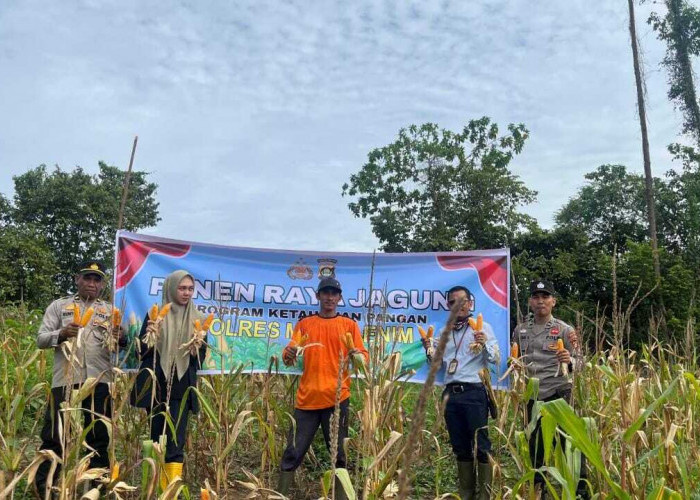 Dukung Swasembada Pangan, Panen Raya Jagung Serentak