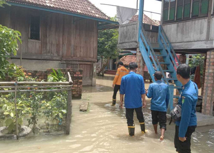 Air Sungai Lematang Meluap, Ratusan Warga Kelurahan Payuputat Terdampak Banjir