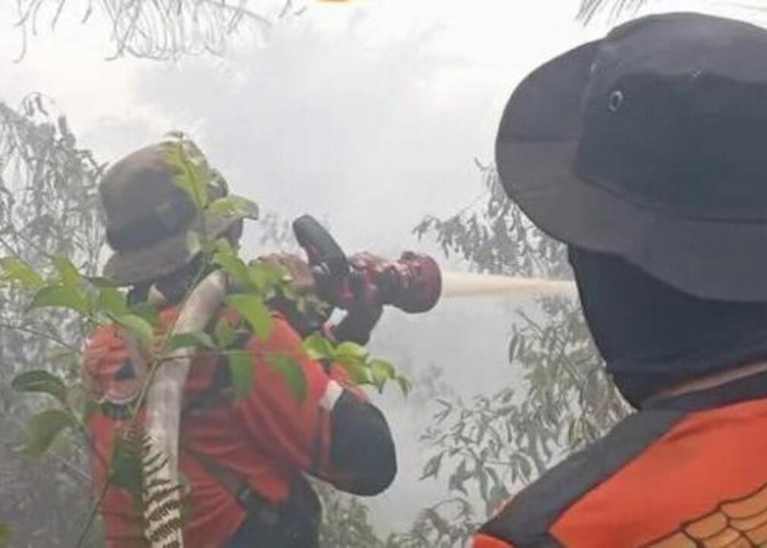 Karhutla Gelumbang Meluas, 30 Hektare Lahan Terbakar