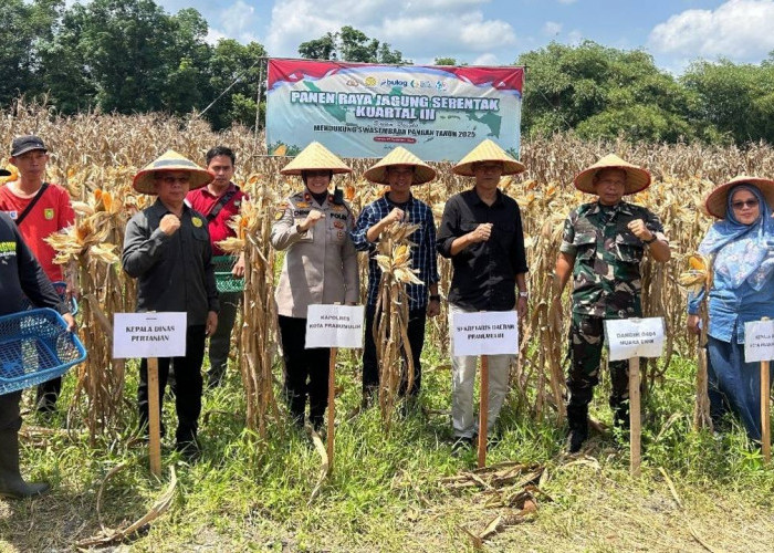 Polri Gelar Panen Raya Jagung Serentak Kuartal III, Polres Prabumulih Hasilkan 8 Ton Jagung dari Lahan 2 Hekta