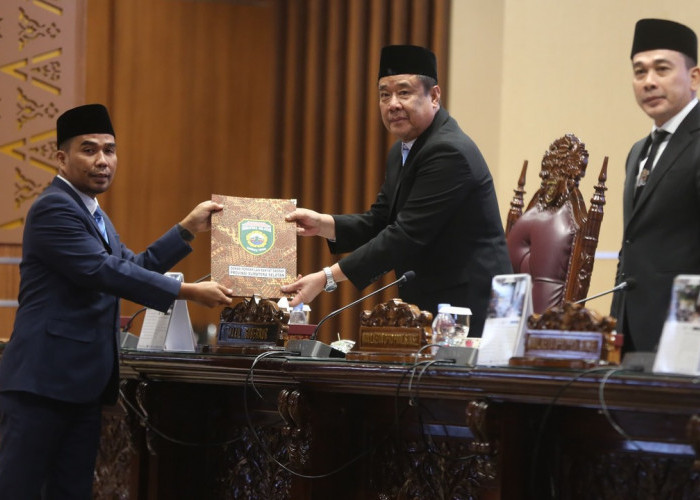 Kolaborasi Jadi Kunci! Wagub Sumsel Cik Ujang Buka Entry Meeting Pengawasan Pemerintah Daerah