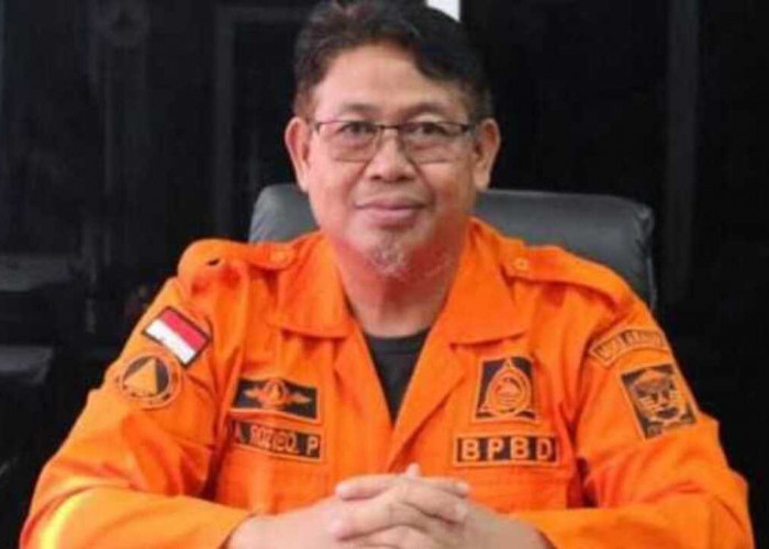 BPBD Muara Enim Catat 33 Kejadian Karhutla