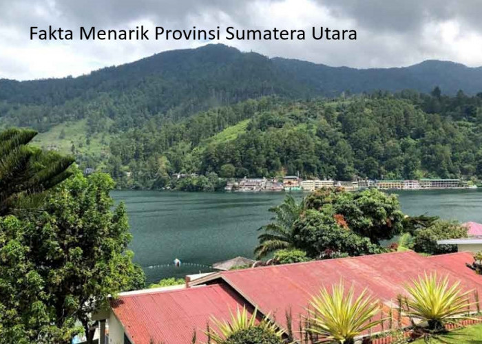 Pemekaran Wilayah Provinsi Sumatera Utara: Menelusuri Wacana Pembentukan Tiga hingga Lima Provinsi Baru