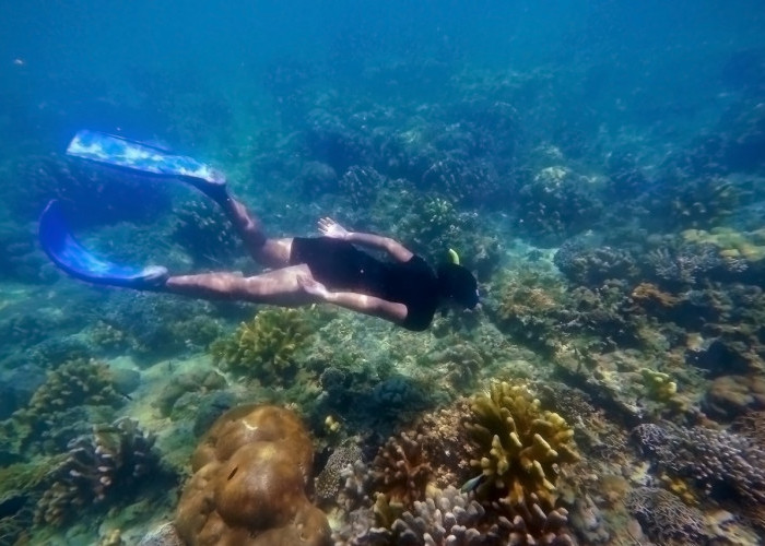 Gili Labak Madura, Surga Snorkeling Terbaik di Bawah Laut yang Luar Biasa