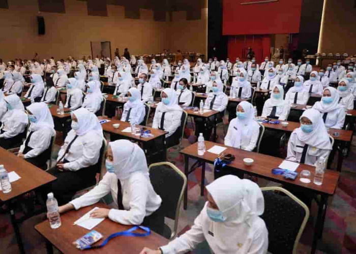 Pelamar CPNS di Provinsi Bengkulu ‘Gigit Jari’, Hamka Sabri: Mau Bayar Gaji CPNS Pakai Apa?