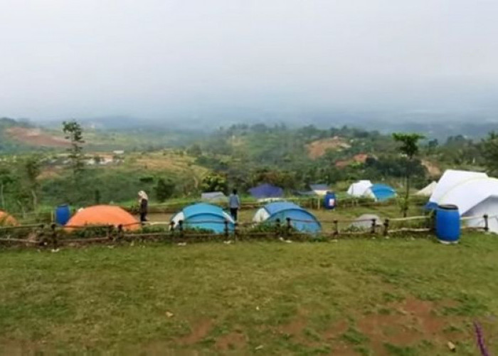 Joglo Java Neglasari Camping Ground Bogor: Menyatu dengan Alam, Menemukan Kesejukan di Pusaran Hijaunya