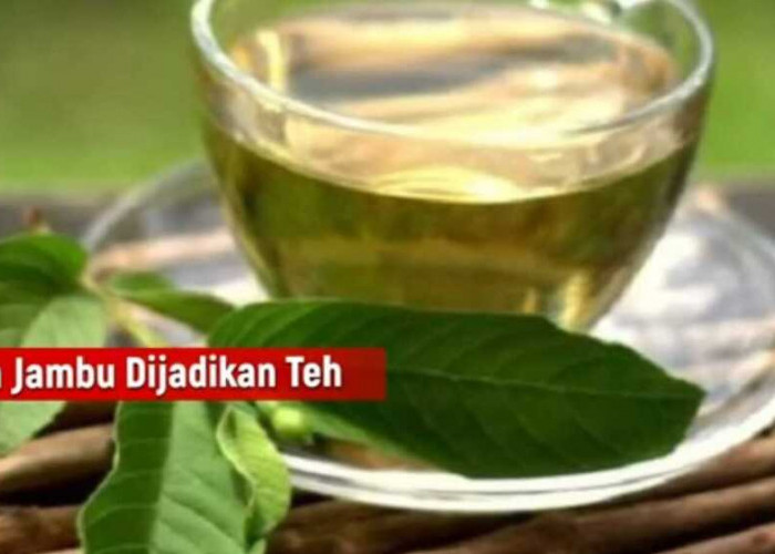 Daun Jambu Biji, Senjata Ampuh untuk Menurunkan Berat Badan 