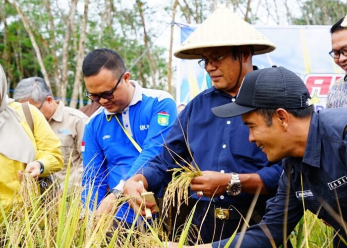 Panen Perdana Padi Gogo 2026 di RKT, Wali Kota H Arlan: Perkuat Ketahanan Pangan Kota Prabumulih