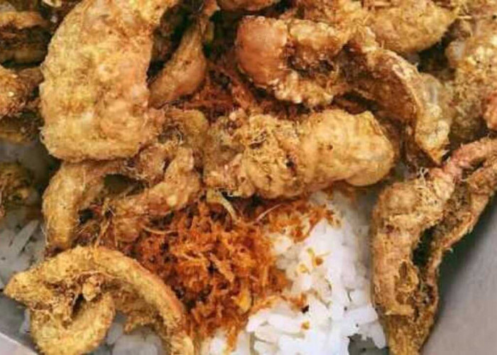 Nasi Kulit Ayam Menu Unik yang Memadukan Kelezatan dan Kreativitas Kuliner