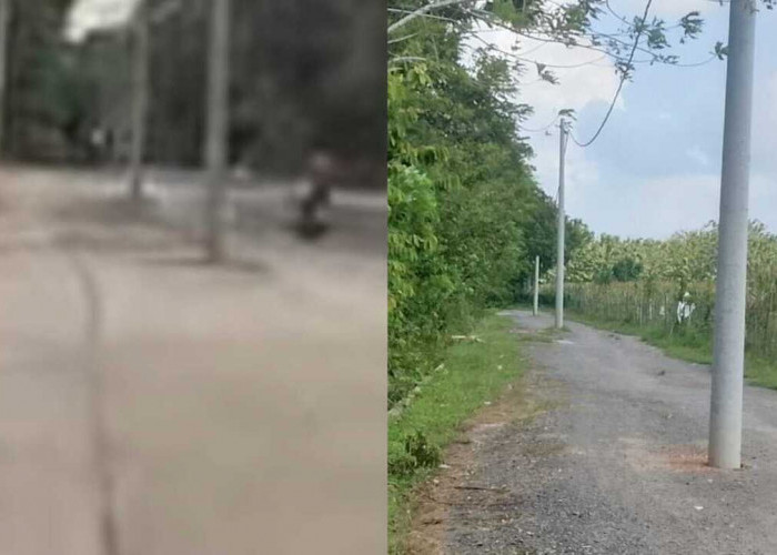PLN Akan Relokasi Tiang Listrik di Tengah Jalan di Ogan Ilir