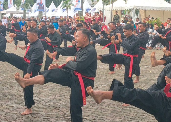 Haornas 2025 Jadi Momentum Lahirnya Program Sriwijaya Gold di Sumsel
