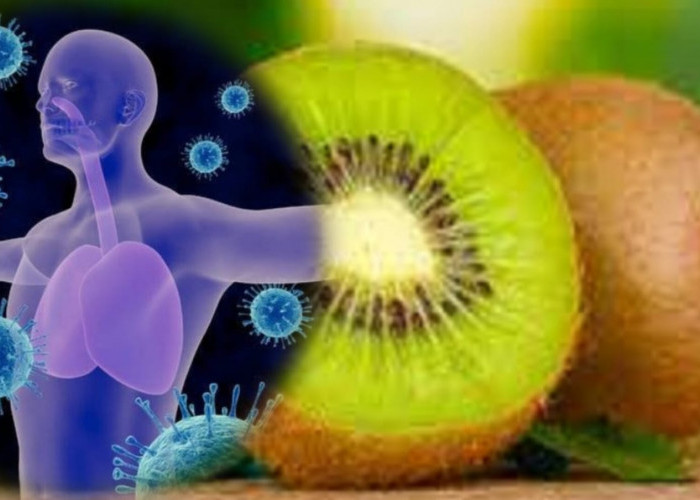 Makin Sehat dengan Setiap Gigitan: Keajaiban Buah Kiwi untuk Sistem Imun, Penasaran? Yuk Coba!