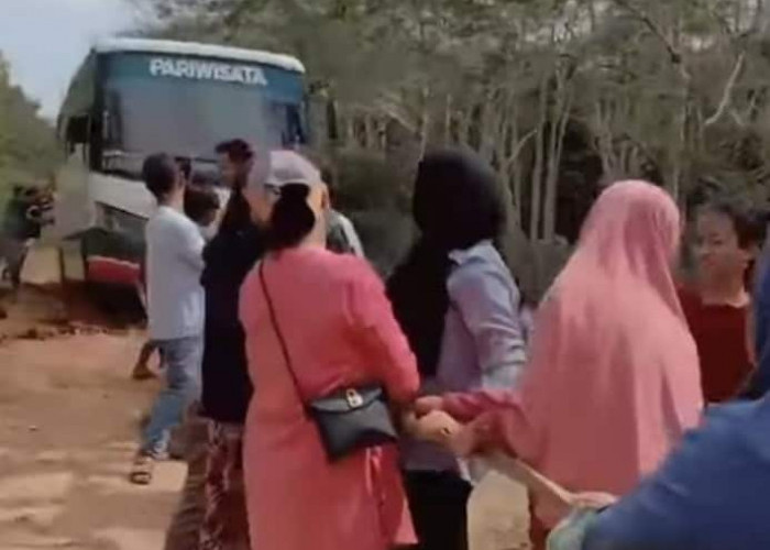 Bus Parawisata Masuk Lumpur Ditarik Emak-emak, Kejadiannya di Kuang Dalam Kabupaten Ogan Ilir...