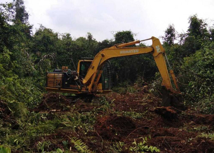 Perkuat Pengendalian Karhutla di Muba, PT RHM Bangun Sekat Bakar 890 Meter