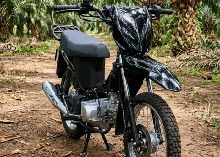 Cuma Rp13 Jutaan, Viar R2K Motor Tangguh yang Bisa Bawa Keranjang Sawit. 