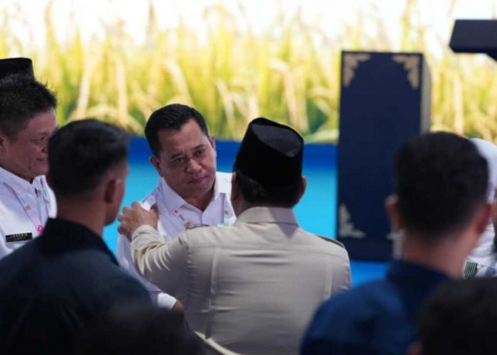 Banyuasin Jadi Jawara Beras Nasional: Bupati Askolani Boyong Satyalencana Wira Karya