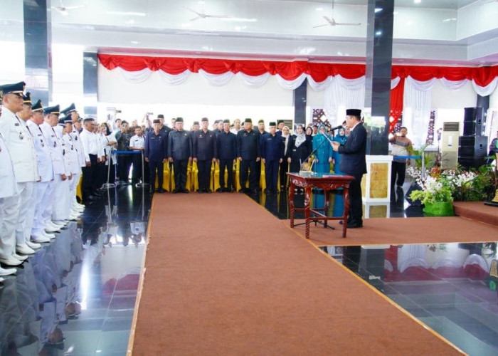 Penataan Birokrasi Dilakukan Berbasis Kompetensi untuk Perkuat Kualitas Pelayanan Publik