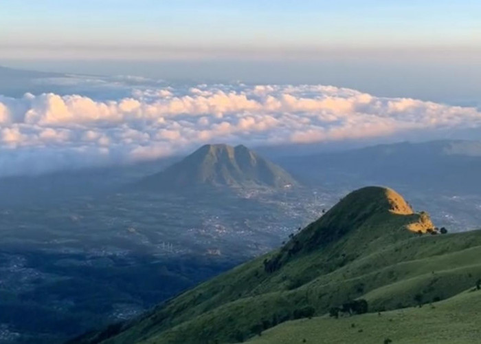 Gunung Merbabu: Nikmati Keindahan Sabana, Trianggulasi, dan Kenteng Songo 