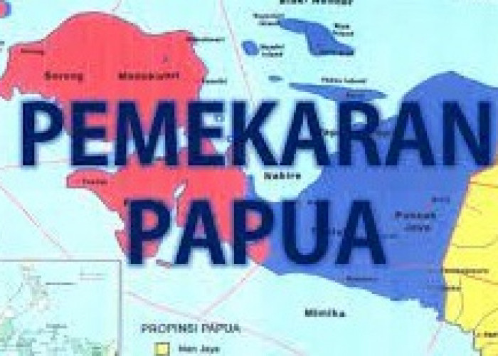Batasi 7 Provinsi di Bumi Papua, Pilih Provinsi Papua Utara atau Papua Timur Sebagai Daerah Otonomi Baru...