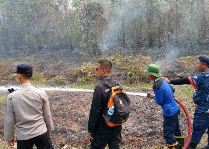 Kebakaran Lahan 1 Hektare di Tanah Abang Berhasil Dipadamkan, Tim Gabungan Bergerak Cepat Cegah Api Meluas    