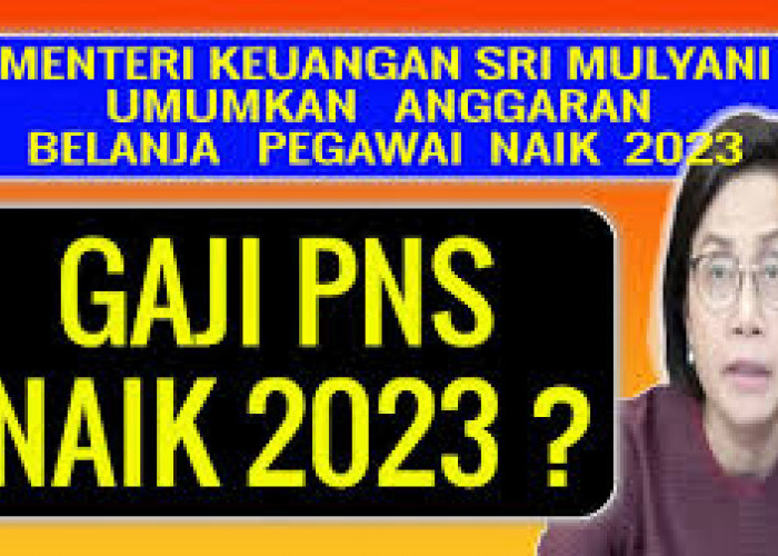 Inilah Gaji PNS di Indonesia Sesuai dengan Golongan Update Desember 2022