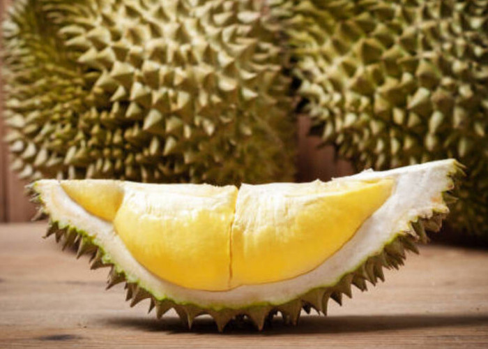 Melihat Keberagaman Jenis Durian di Nusantara: Kaya Rasa dan Aroma