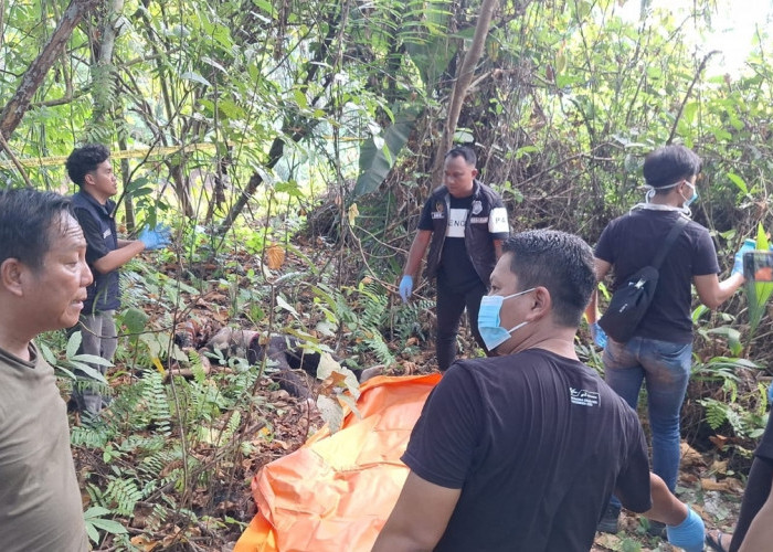 Petani di OKI Temukan Mayat Perempuan Dalam Karung, Wajah Korban Ditutupi Baju Hitam
