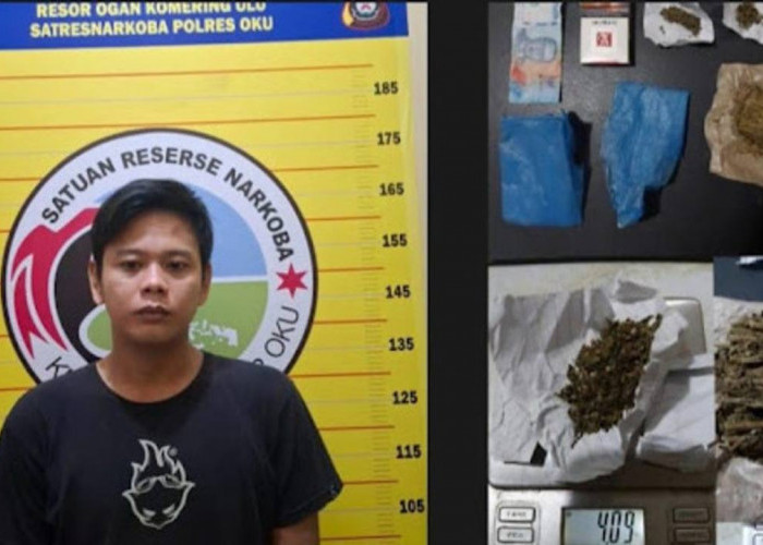 Jual Ganja, Warga Sekarjaya OKU Diciduk Polisi