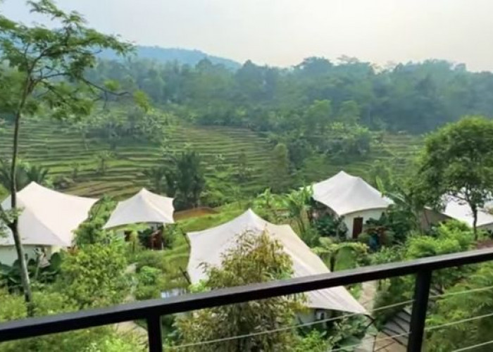 Pesona Tenang dan Damai Pakarangan Glamping: Melarikan Diri dari Keramaian dengan Kemewahan Alam 