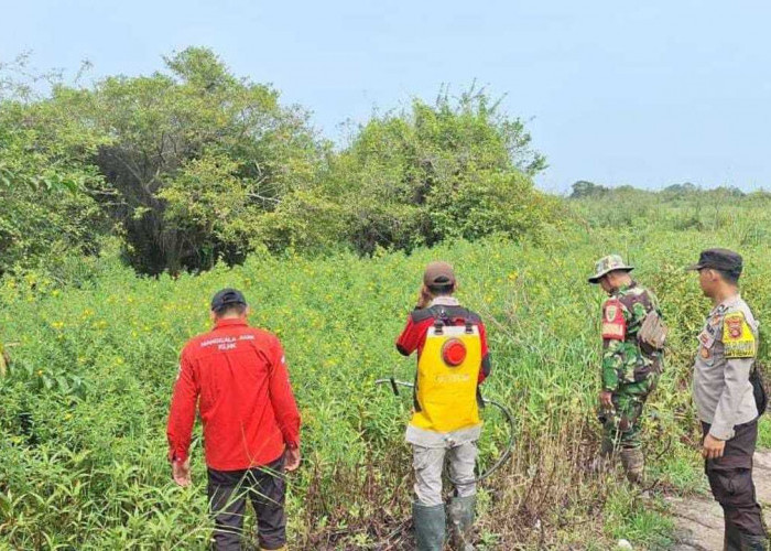 Tim Gabungan Gelar Patroli Terpadu Cegah Karhutla 