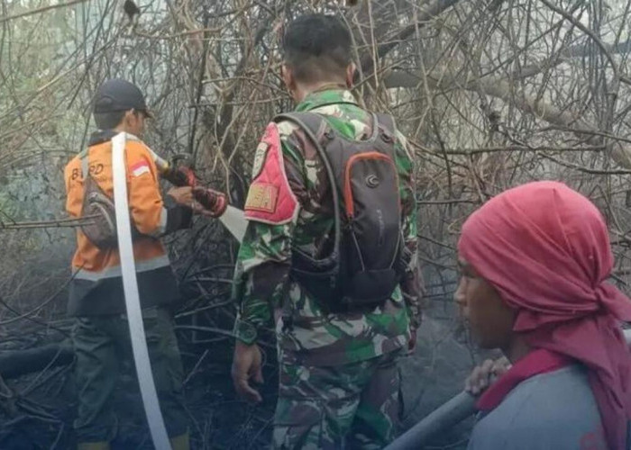 Satu Hektare Lahan Mineral di Patra Tani Terbakar