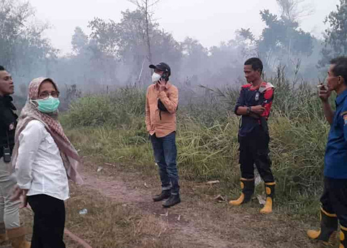 Kebakaran Lahan Gambut Masih Belum Padam di Kota Palembang Provinsi Sumatera Selatan