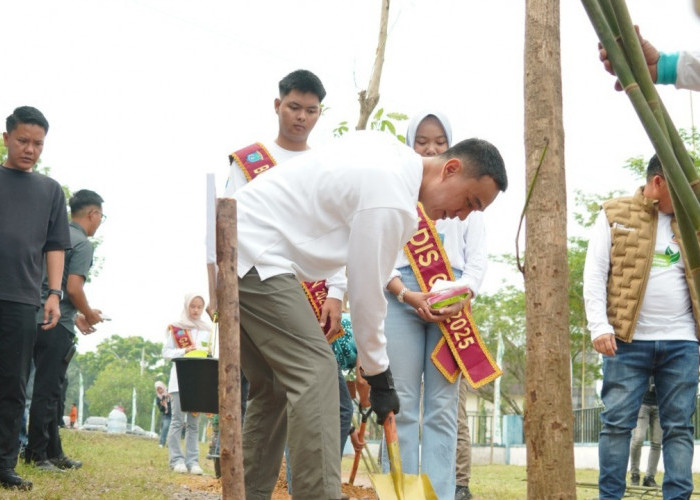 Penanaman 300 Pohon Tabebuya Warnai Peringatan HUT ke-80 Kabupaten OKI