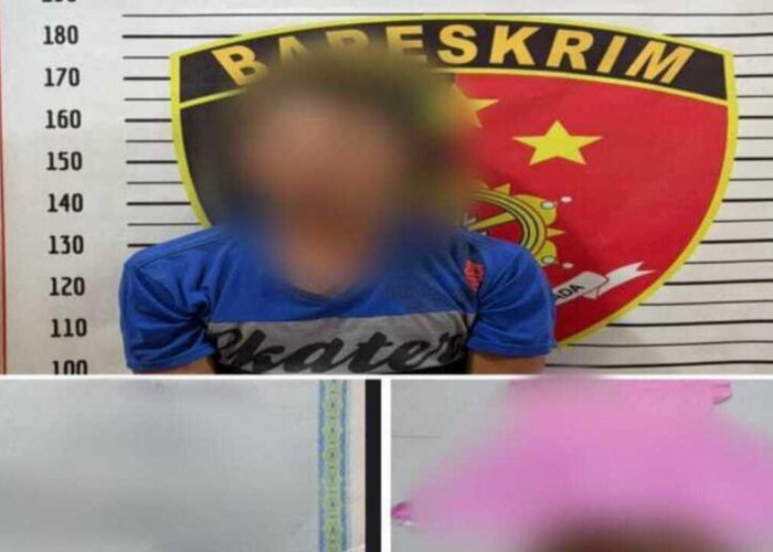 Diajak Jual Getah Anak Teman dicabuli, Pelaku Berhasil diamankan