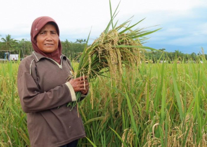 Inovasi Pertanian Berbasis Listrik: Electrifying Agriculture Hadir Dukung Program Ketahanam Pangan Nasional