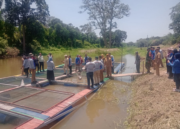 Desa Karang Dapo OKU Panen Patin Hasil Budi Daya Masyarakat