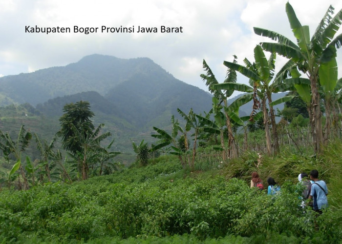 Rencana Pemekaran Kabupaten Bogor: Membentuk Tiga Daerah Otonomi Baru