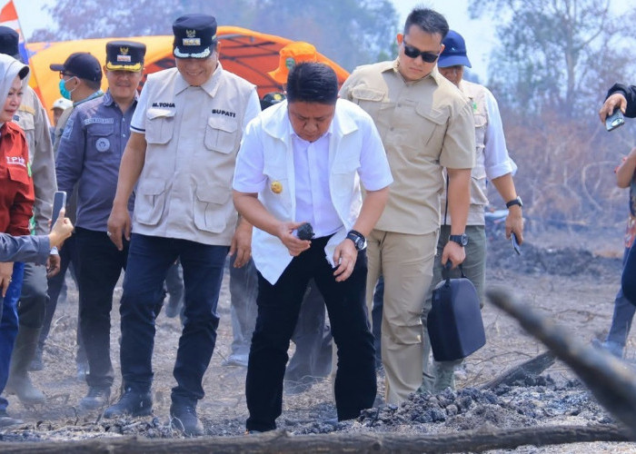 Tinjau Karhutla di Muba, Herman Deru Tekankan Pencegahan dan Keterlibatan Masyarakat
